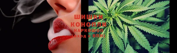 спиды Пересвет