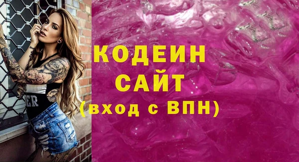 спиды Пересвет