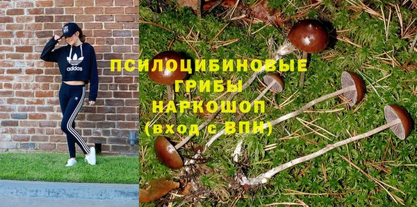 ПСИЛОЦИБИНОВЫЕ ГРИБЫ Пестово