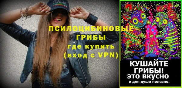 гидра Покров