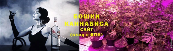 ГАЛЛЮЦИНОГЕННЫЕ ГРИБЫ Покачи