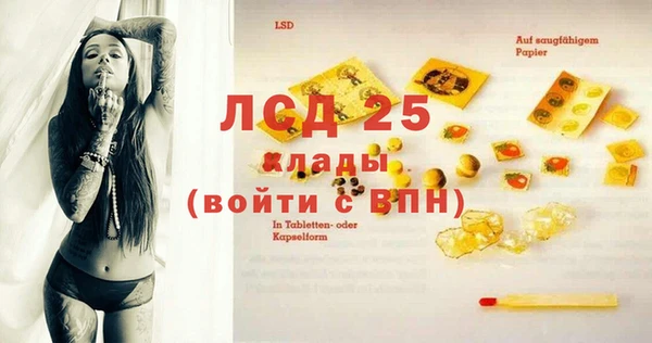 спиды Пересвет