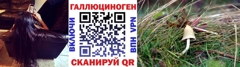 Галлюциногенные грибы мухоморы  что такое наркотик  Краснокаменск 