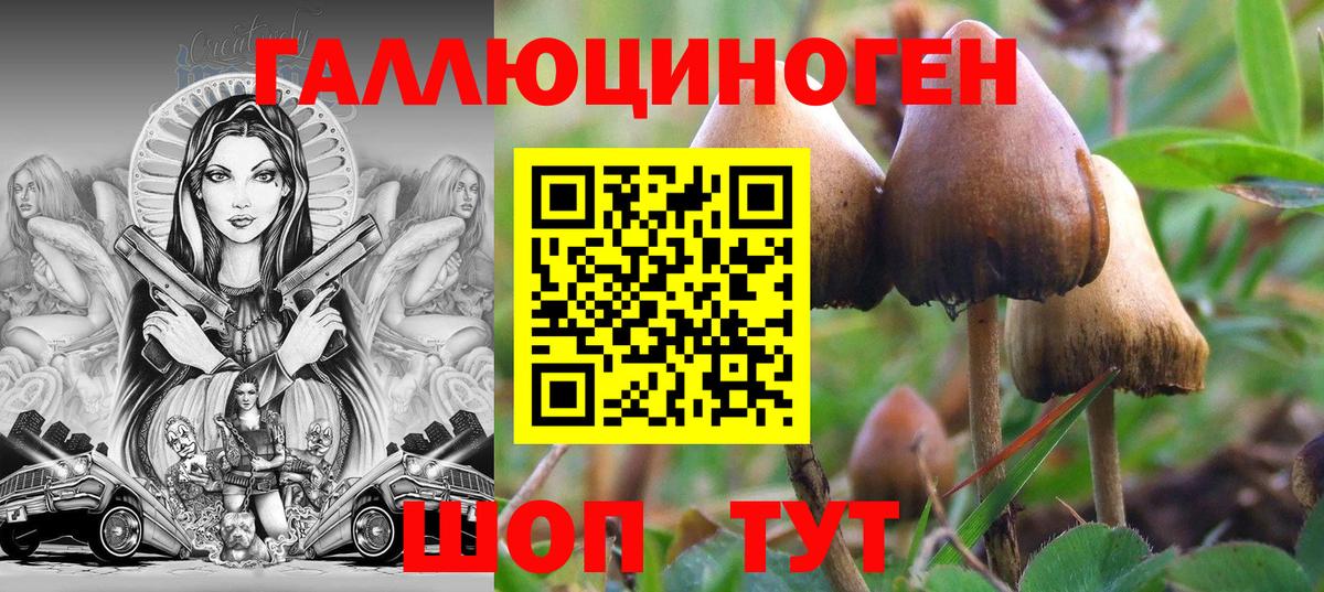 Псилоцибиновые грибы мухоморы  Галлюциногенные грибы мицелий  Краснокаменск  Вход с VPN 