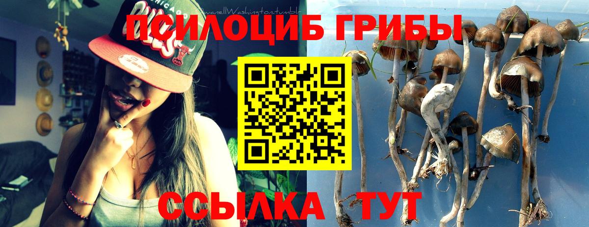 Псилоцибиновые грибы ЛСД Краснокаменск